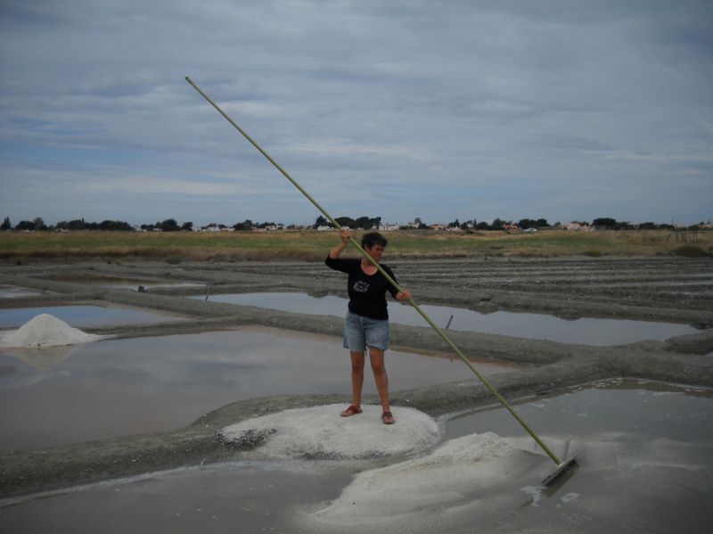 Françoise tire le sel marin