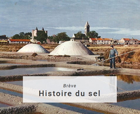 histoire du sel