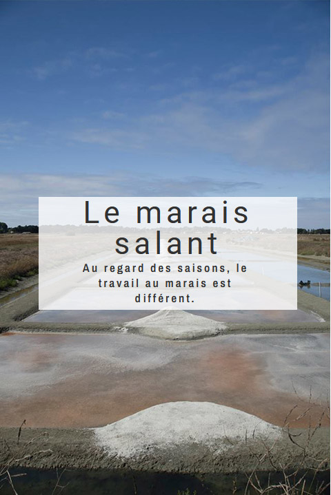 le marais salant