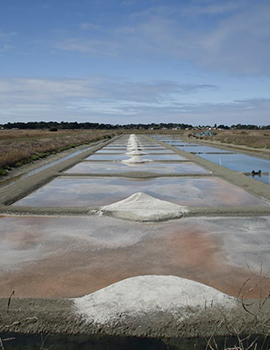 le marais salant