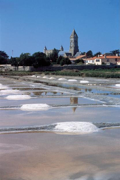 Marais salant d'aujourd'hui – Noirmoutier-en-l'île