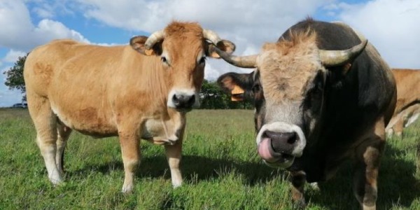 Le Samedi 30 Avril 2022  journée portes ouvertes à la ferme L' Atelier des Grands Bois à Beaufou de 10H00 à 17H00